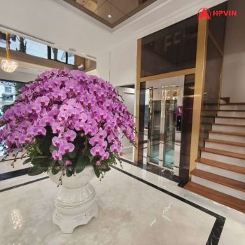 Thang máy không phòng máy thiết kế sang trọng 