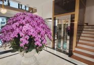 Thang máy không phòng máy thiết kế sang trọng 